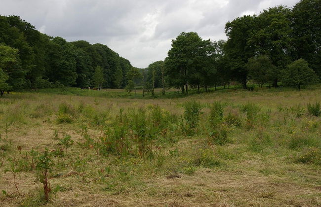 6 Person Holiday Home in Hojslev-by Traum - Foto 4