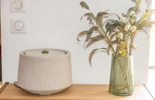 Le Carpe Diem - Détente & Bien être - Balnéo, Sauna, Terrasse - Foto 10