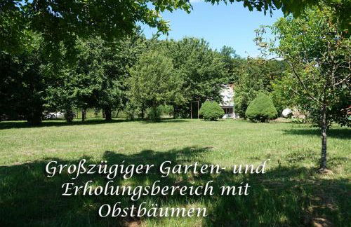 Schneckenhaus - Foto 9