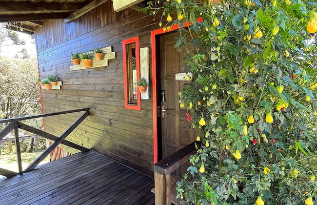 Chalés Solar da Montanha Urubici - Photo 63