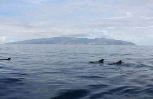 Casa Tajaraste 1 - Foto 34