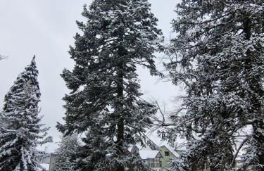 Ferienwohnung "Auszeit" - Photo 36