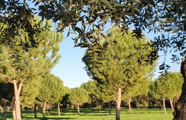 Quinta da Bizelga Cottages - Foto 12