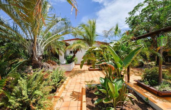 Brisas Studio Apartments - Adults Only - Foto 40