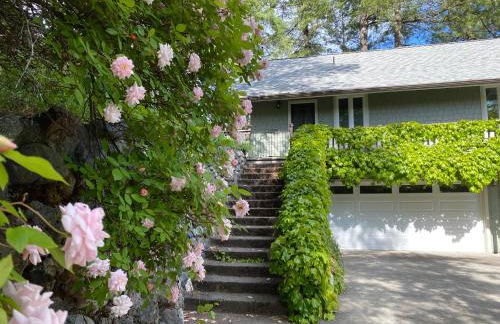 Avenue of the Giants River View Home (#1) - Foto 21