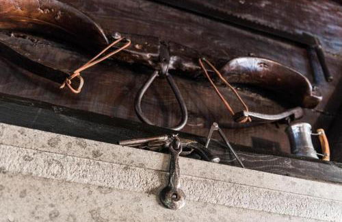 Tenuta Torre di Pian Castagno - Foto 19