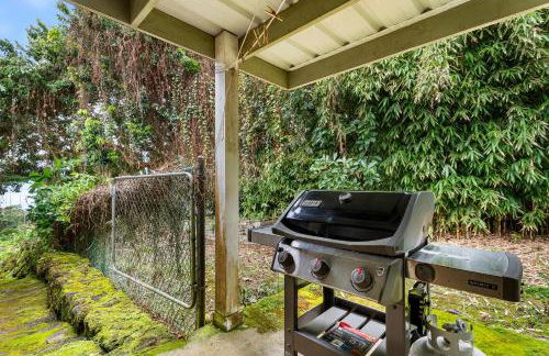 Orchid Hale - Foto 49