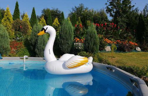 Agroturystyka Iwańcze Pole - Foto 18