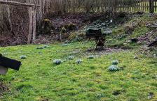 Eifelerlebnis - Foto 3