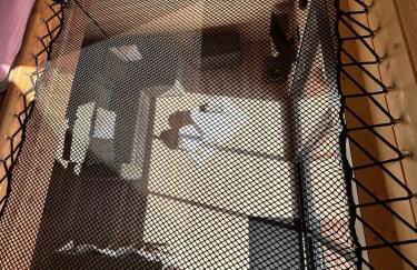 L Atypique - Foto 25