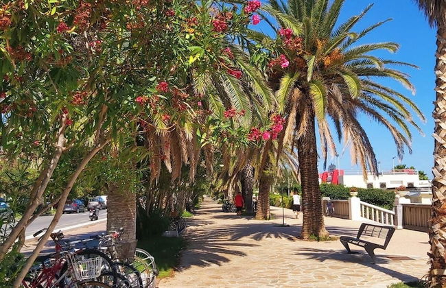 Affittacamere Casa Lilibet - Foto 47