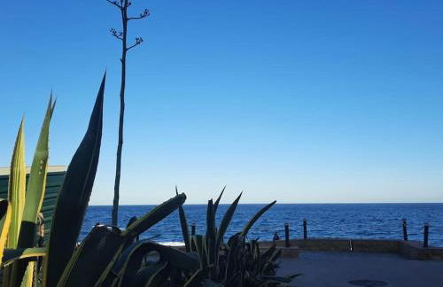 at jardines del mar - Photo 1