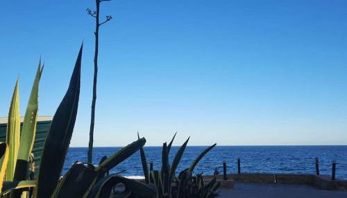 at jardines del mar - Photo 1