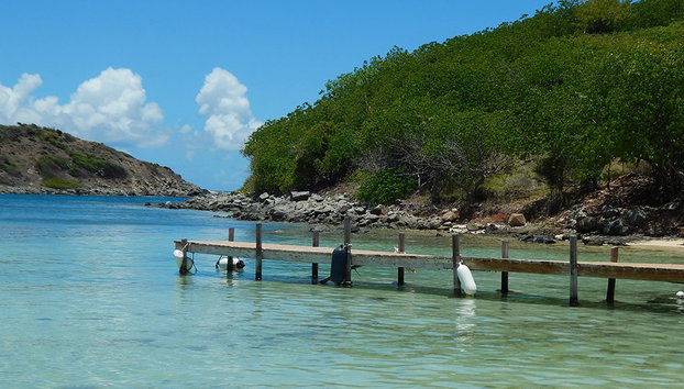 Navegue por la costa de St Maarten y nade con tortugas - Foto 3