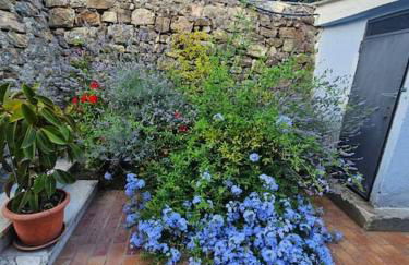 La Casa di Mario a San Lorenzo al mare - Photo 15