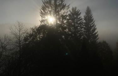 Ferienwohnung Schwarzwaldglueck - Foto 22