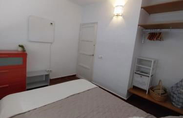 Ave Ibis eremita Vejer - Foto 18