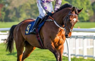 Heatherlea Holiday Cottage - Foto 21