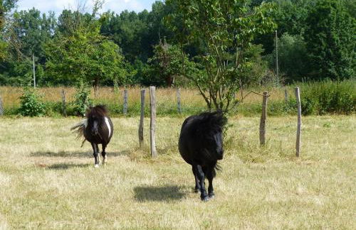 Gîte de Charme en Ferme du XVIIe siècle avec Internet - FR-1-489-166 - Foto 17