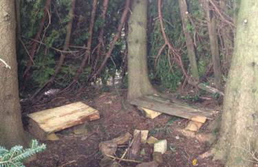 Haus Hollerbusch - Foto 28