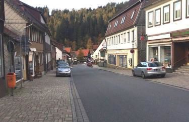 Eulennestchen-Harz Fewo S1 oder L2 Für Single, Paar oder Familie & Hund Oberharz - Foto 13