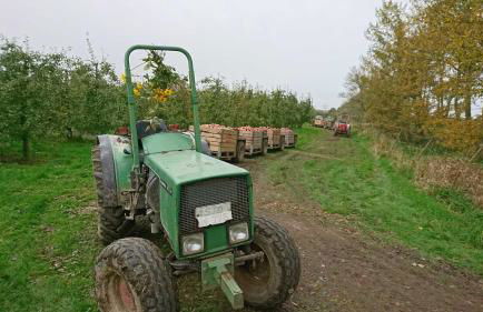 Ferienwohnung auf dem Bio Obsthof - Photo 13