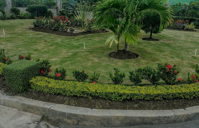 Oceanic View Apartment at Fern Court - Foto 63