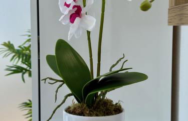 Ferienwohnung "Thermenblick - Bad Aibling" - Foto 30