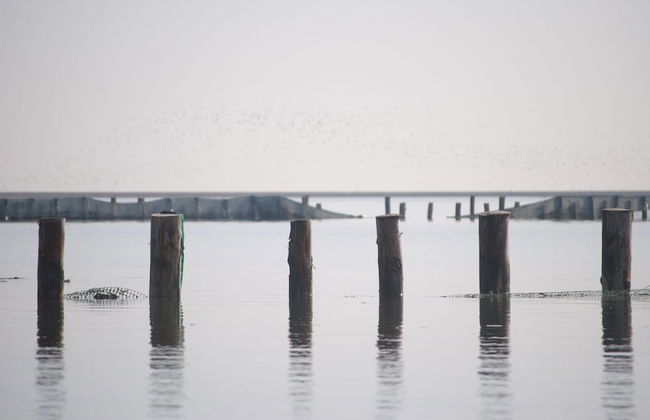 Agriturismo Ae Cavane - Photo 45