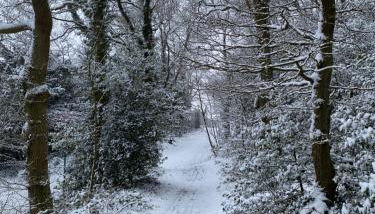 "An der alten Mühle 1" Große Fewo 110 qm, zentral gelegen, zwei Schlafzimmer, Südbalkon, Gartenterrasse & Wallbox - Foto 4