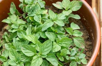 Valley View Studio Apartment Salakos - Foto 46