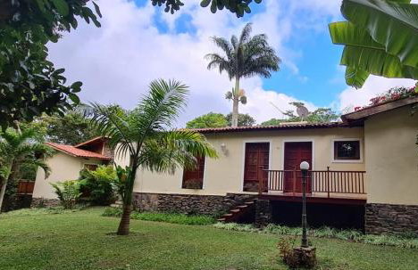 Casa Amarela - Foto 19