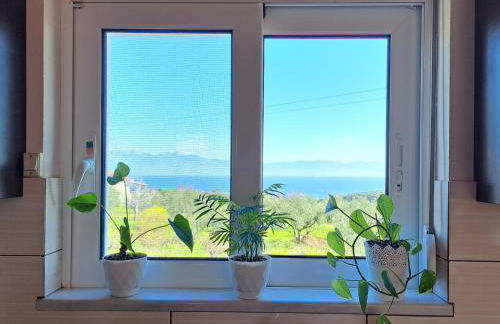 Vasilopoulos Estate - Foto 6