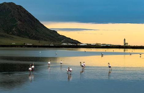Apartamento El Flamenco Azul Cabo de Gata - Foto 29