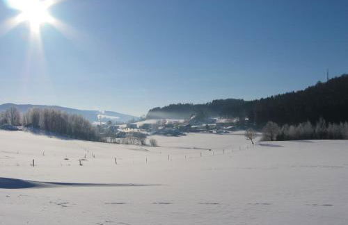 Ferienwohnung Huglbauer - Foto 37