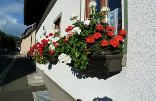 Lina's Rhön - Foto 2