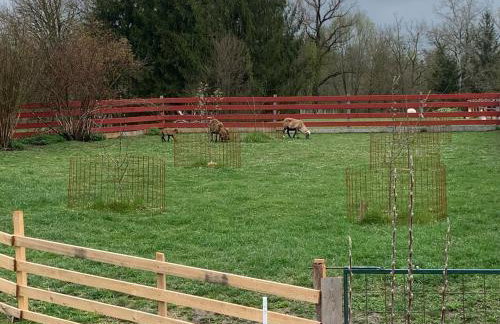 Ferienhaus Spielburg - Foto 77