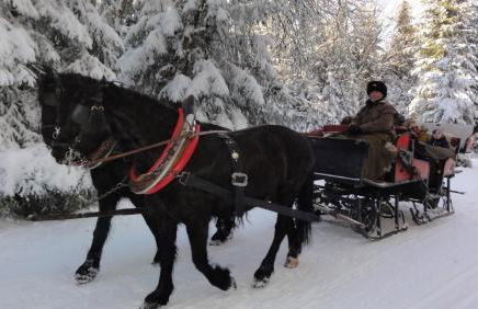 FeWo Obstfelderschmiede - Foto 37