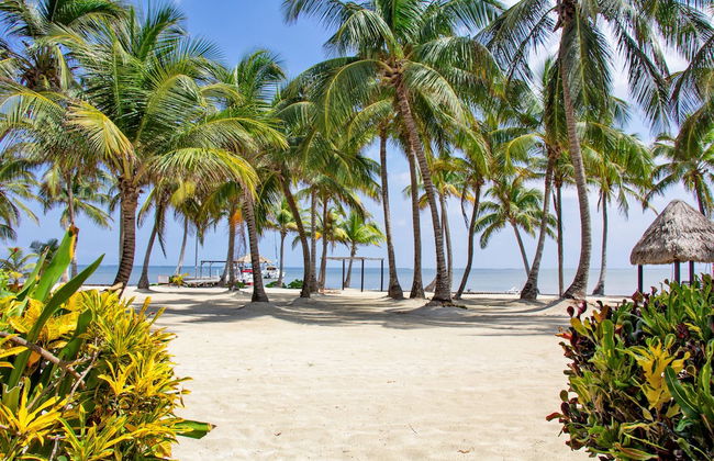 Villas De Isla Bonita - A4 - Foto 28