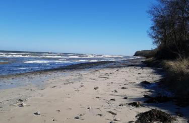 Seesternchen - Foto 18