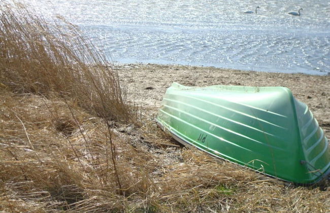 Haus Kranich Modern Retreat - Foto 16