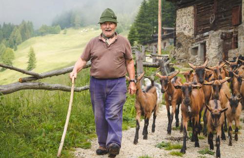 Appartamenti Vacanze Casa Marilleva - Foto 50