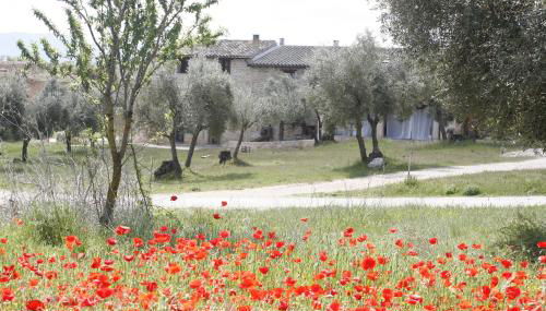 Hort de L'Aubert - Foto 3