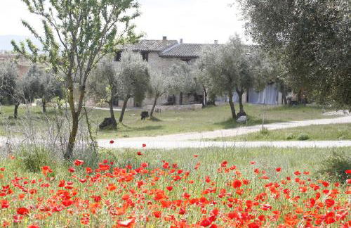 Hort de L'Aubert - Foto 3