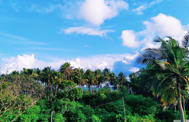 Villa Modara - Photo 19