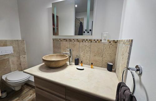 Moulin de Tartay en Avignon - Foto 40