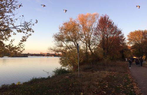 Pantone Ultra - Foto 33