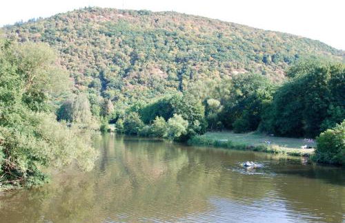 Einfach nur schön - Foto 13