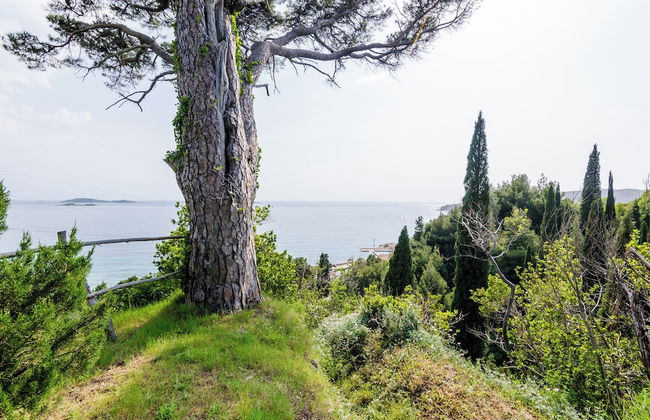 Color Apartments - Foto 74