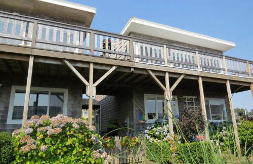 Sea Scallop - Foto 18